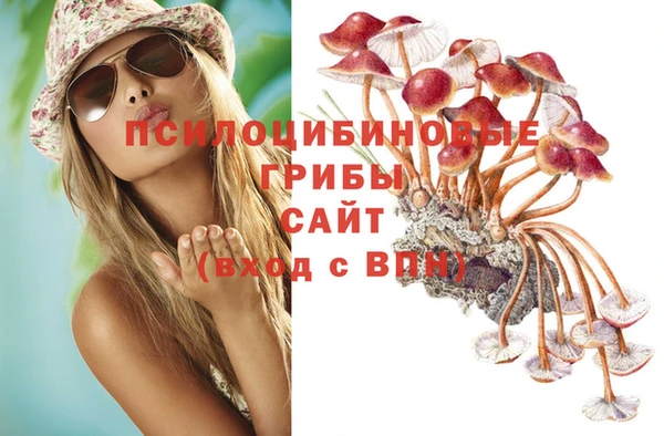 ECSTASY Коряжма
