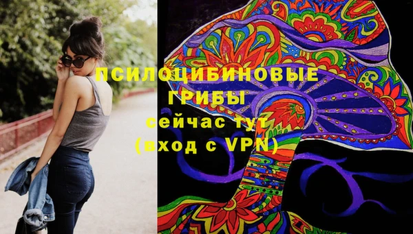 бошки Алексеевка