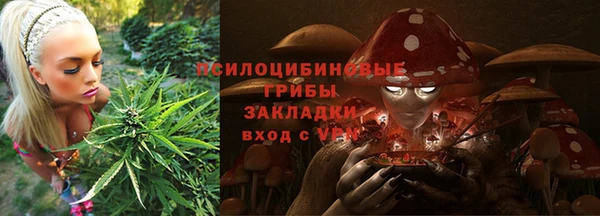 спайс Алзамай