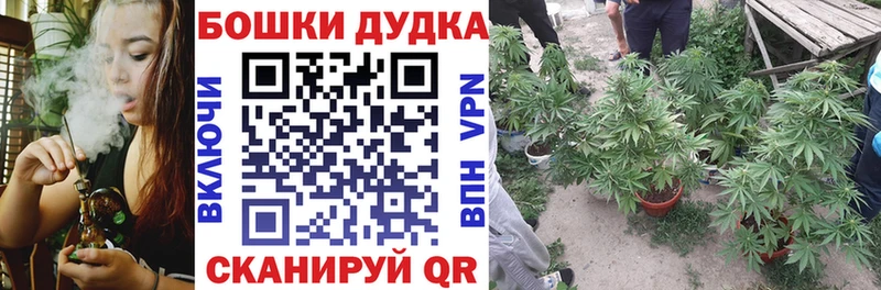 наркотики  Зарайск  blacksprut ONION  МАРИХУАНА сатива 
